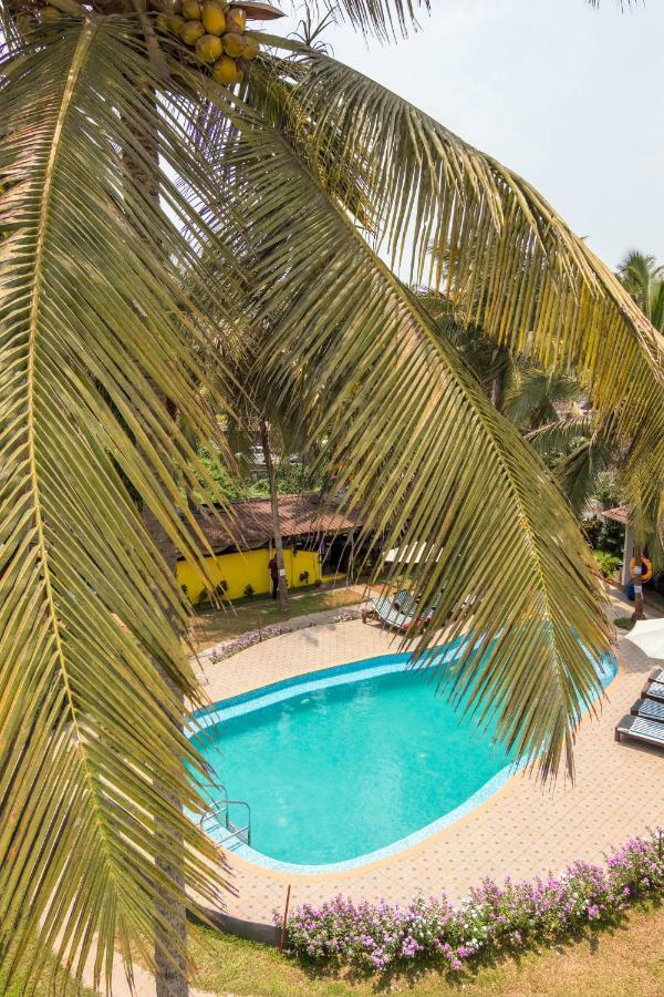 Dona Julia Beach Resort กาลังกูติ ภายนอก รูปภาพ